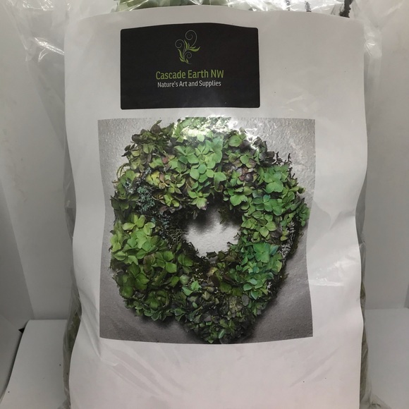 Easy DIY Dried Hydrangea Moss & Lichen Wreath Kit - Picture 3 of 3